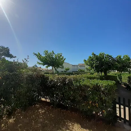 Capao Joli T2 Piscine Proche Richelieu Cap D'agde 아파트